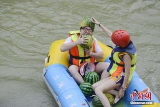 冰河吃瓜群众,吃瓜群众的趣味生活