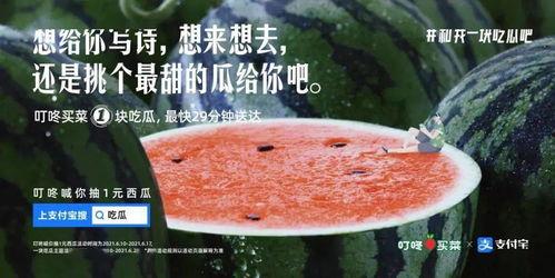 吃瓜馆文案,品味人间烟火,畅享美食盛宴