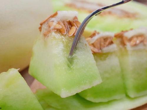 减肥吃玉菇瓜,天然低卡美食,轻松享瘦新选择