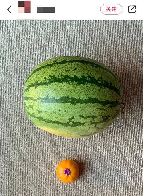 全宿舍人都在吃瓜,全员吃瓜,揭秘校园生活点滴