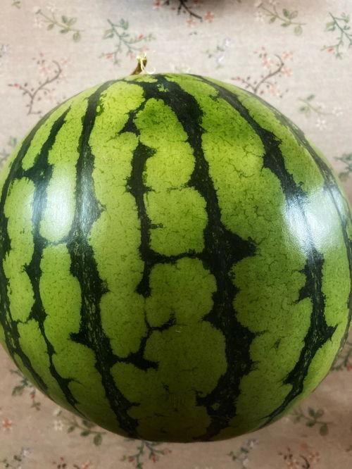 吃瓜视频表演可爱,吃瓜视频里的可爱魅力大放送