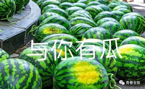 岑岑吃瓜画,揭秘娱乐圈幕后故事