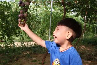 全职吃瓜宝妈,揭秘育儿生活背后的酸甜苦辣