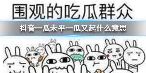 抖音吃瓜群众代表,揭秘网络舆论场的众生相