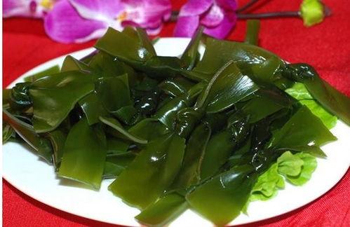 吃海带可以吃土耳瓜吗,健康搭配的饮食新选择