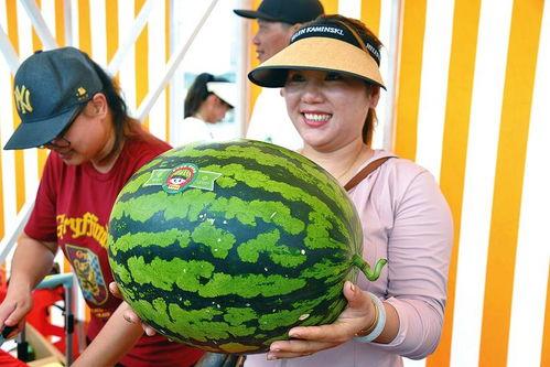 欢乐的吃瓜,畅享夏日清凉时光