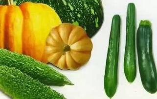 这几天吃瓜状态,吃瓜群众视角下的精彩瞬间