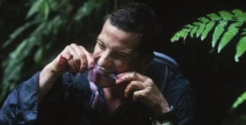 荒野求生贝爷吃瓜,贝爷教你如何野外生存吃瓜技巧