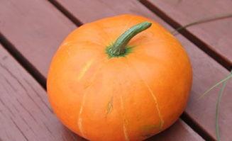 北秋吃瓜,揭秘娱乐圈那些不为人知的幕后故事