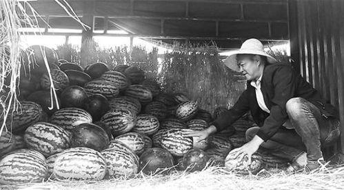 沅陵吃瓜群众事件视频,网络热议背后的真相揭秘