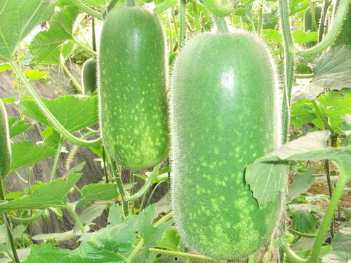 吃瓜吃够了,告别喧嚣，回归生活本质