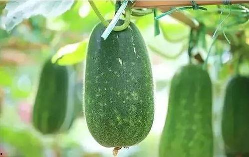 最近吃的瓜,揭秘明星们的幕后故事