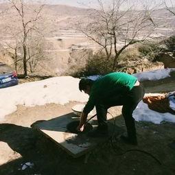 吃瓜不误砍柴功