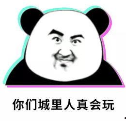 吃瓜群众头像熊猫,吃瓜群众头像新潮流