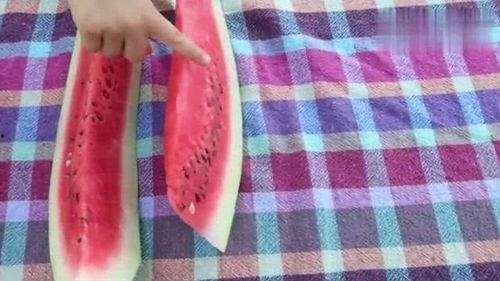 小屁孩吃瓜,揭秘童言无忌中的趣味世界