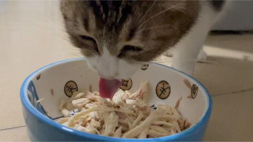 沉浸式吃茭瓜,一场与茭瓜的味蕾之旅