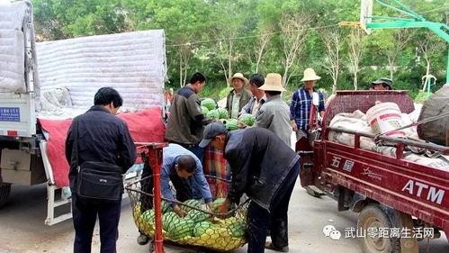 法官乡镇吃瓜,一场意外的舆论风暴