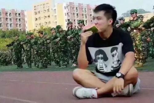 吃瓜群众丁先生,吃瓜群众丁先生的趣味观察日记