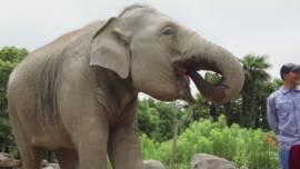 惊叹俱乐部吃瓜,揭秘娱乐圈的吃瓜盛宴