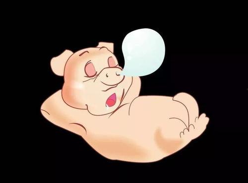 小胖总吃瓜,揭秘娱乐圈幕后故事