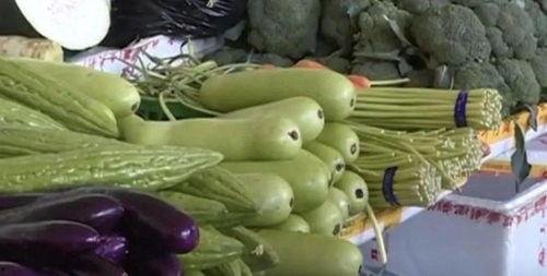 一家坐吃瓜,品人生百态