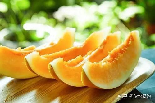 小蜜瓜怎么吃的,轻松解锁夏日清新美味