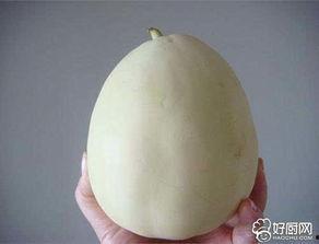 白兰瓜的皮可以吃吗,可食用之谜揭秘