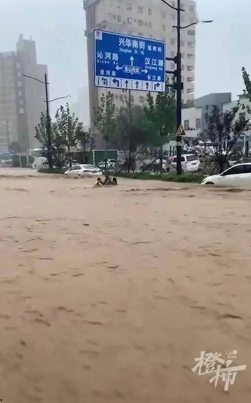吃瓜广东下大雨,暴雨来袭，瓜田喜获丰收