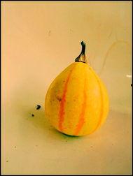 吃瓜最新事件新沂,揭秘近期热点事件背后的真相