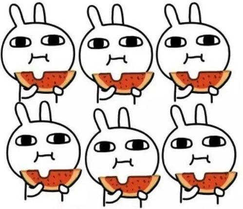 tom带你吃瓜,畅游瓜界美食之旅