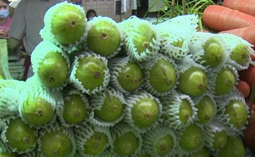 猫女郎吃葫芦瓜,猫女郎的葫芦瓜奇遇记