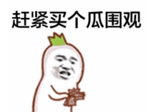 吃瓜群众开枪视频,现场视频引发热议