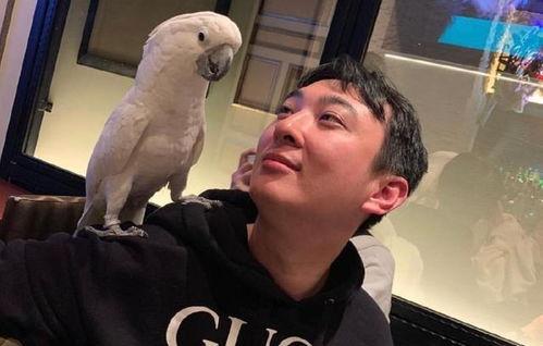 吃瓜事件后续,真相大白，各方反应盘点