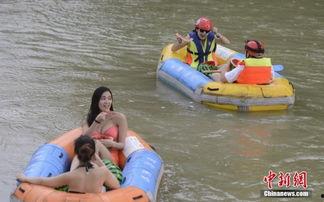 蟒瓜怎么吃,蟒瓜的多样食用方法探索