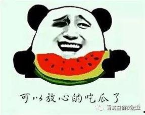 关于吃瓜的谣言,真相与误区大揭秘