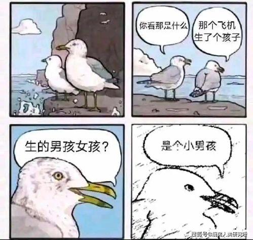 反攻是什么体验by吃瓜的瓜,吃瓜瓜的瓜独家体验分享